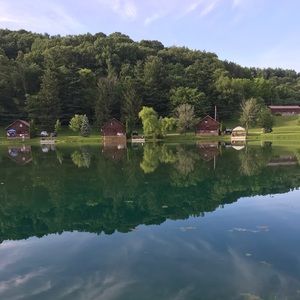 Meet your Posher, Violet